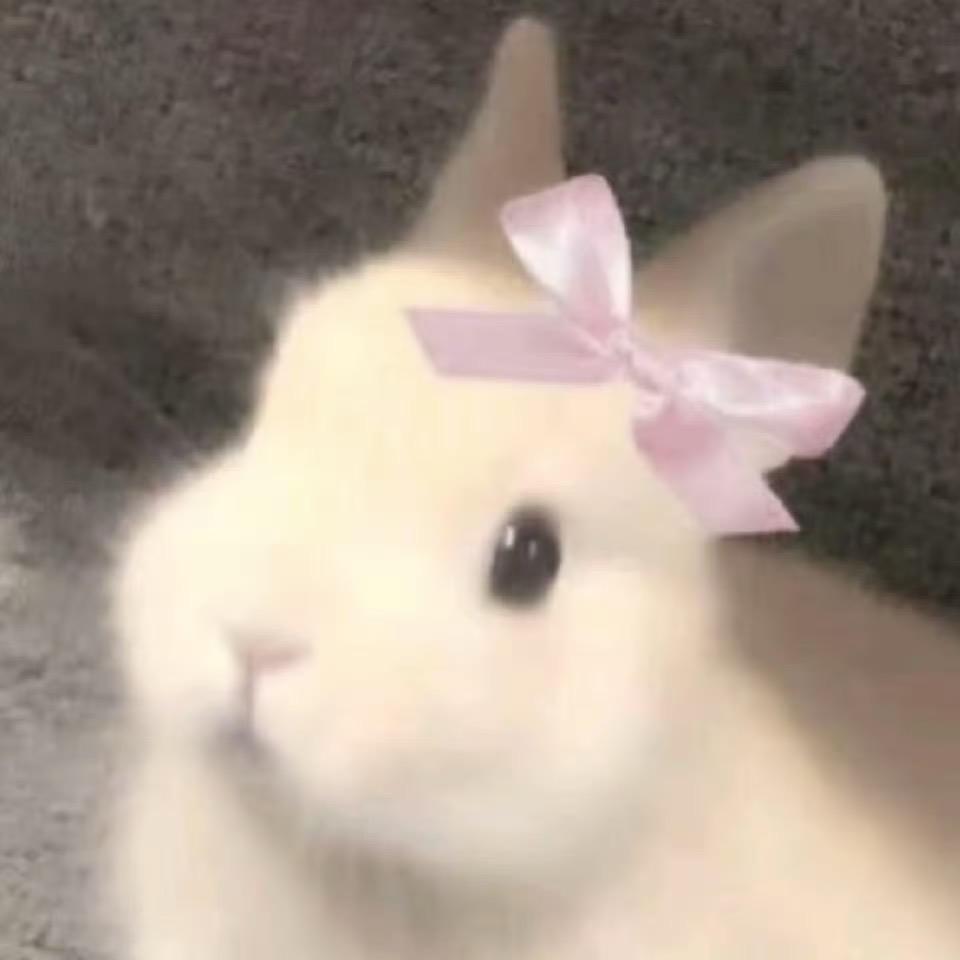 第五个季节.