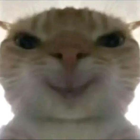 石狮鼠（三角洲行动）