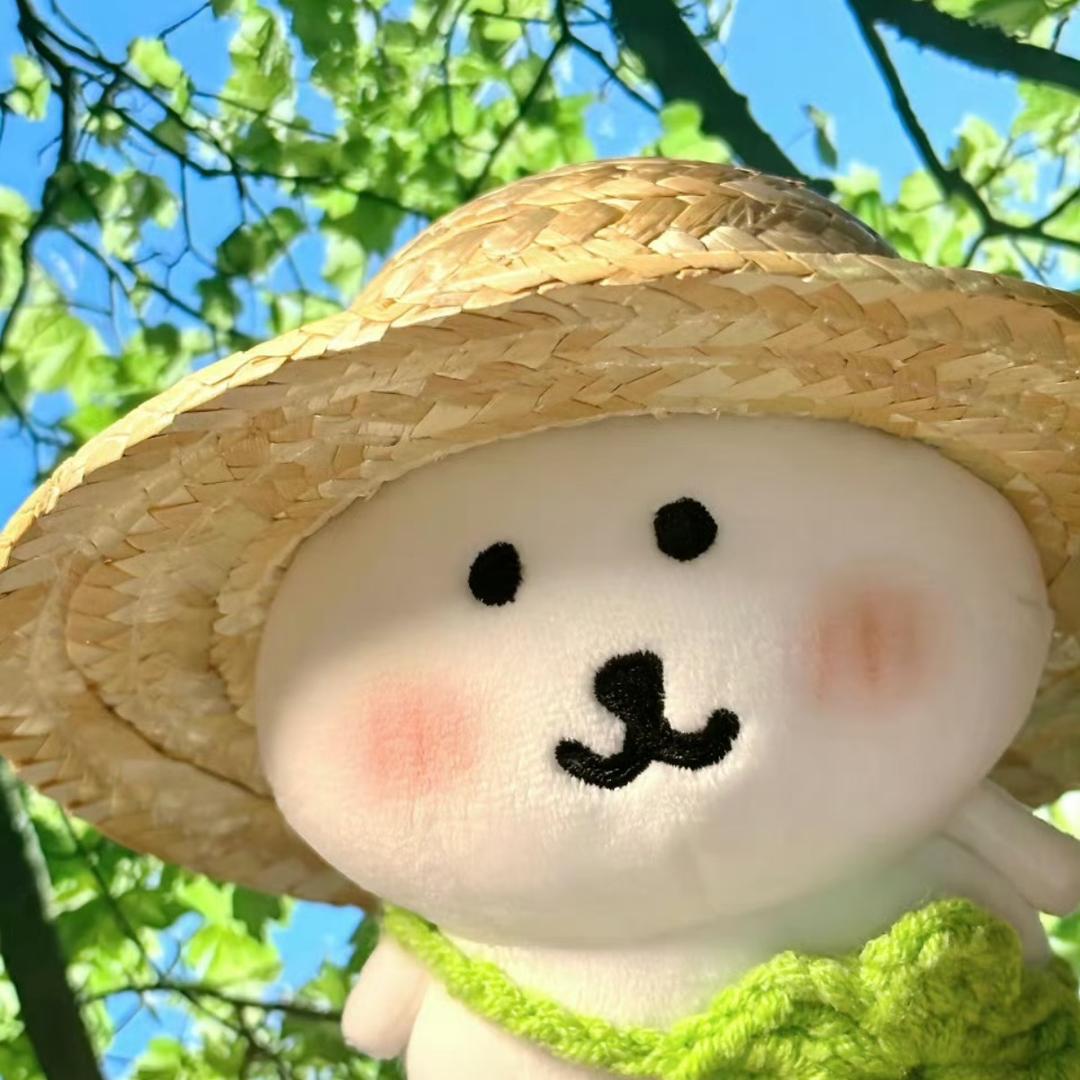 猛呆呆