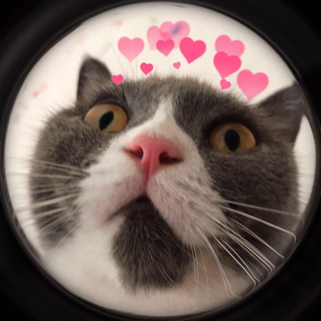 每天都好想睡觉