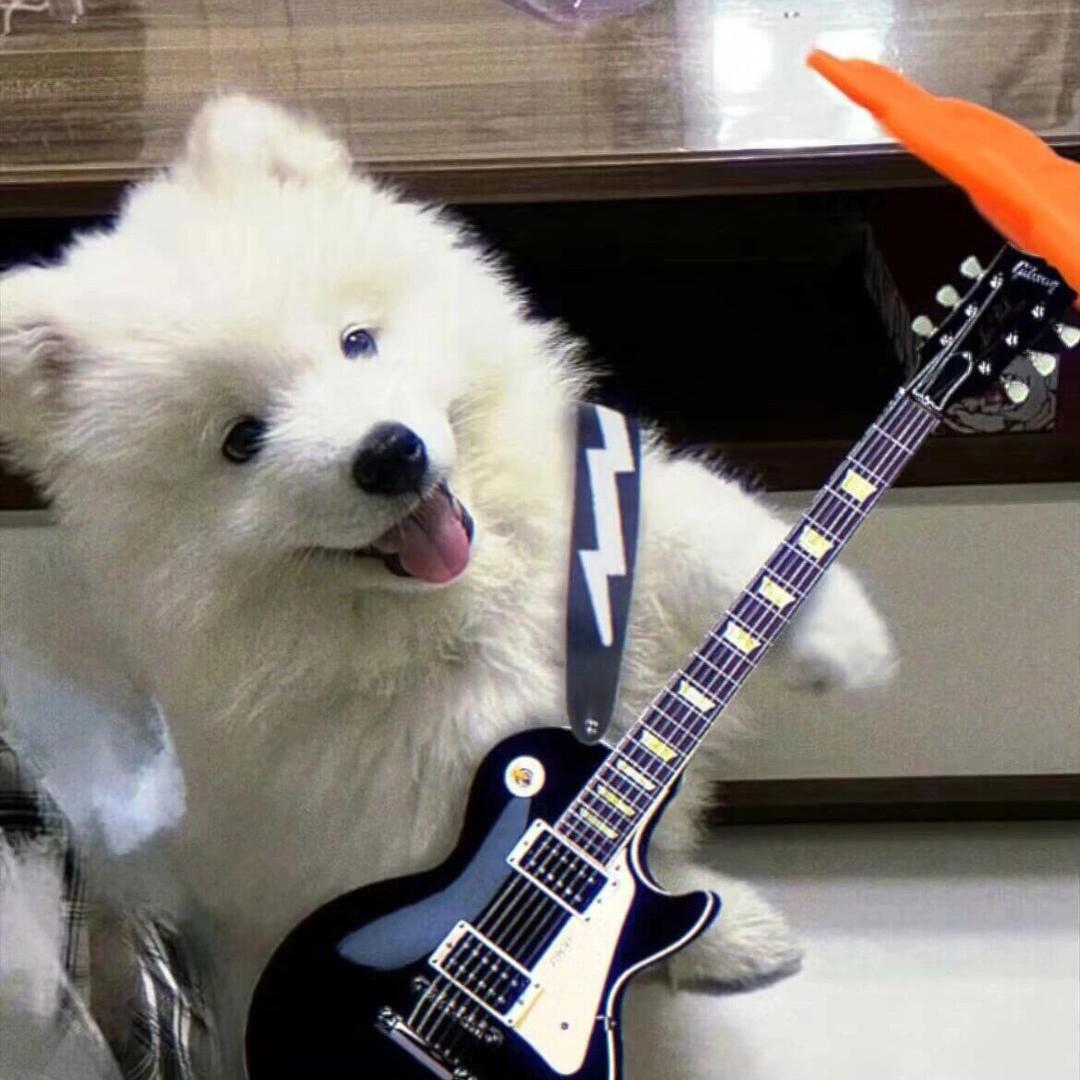 财务自由梦游者