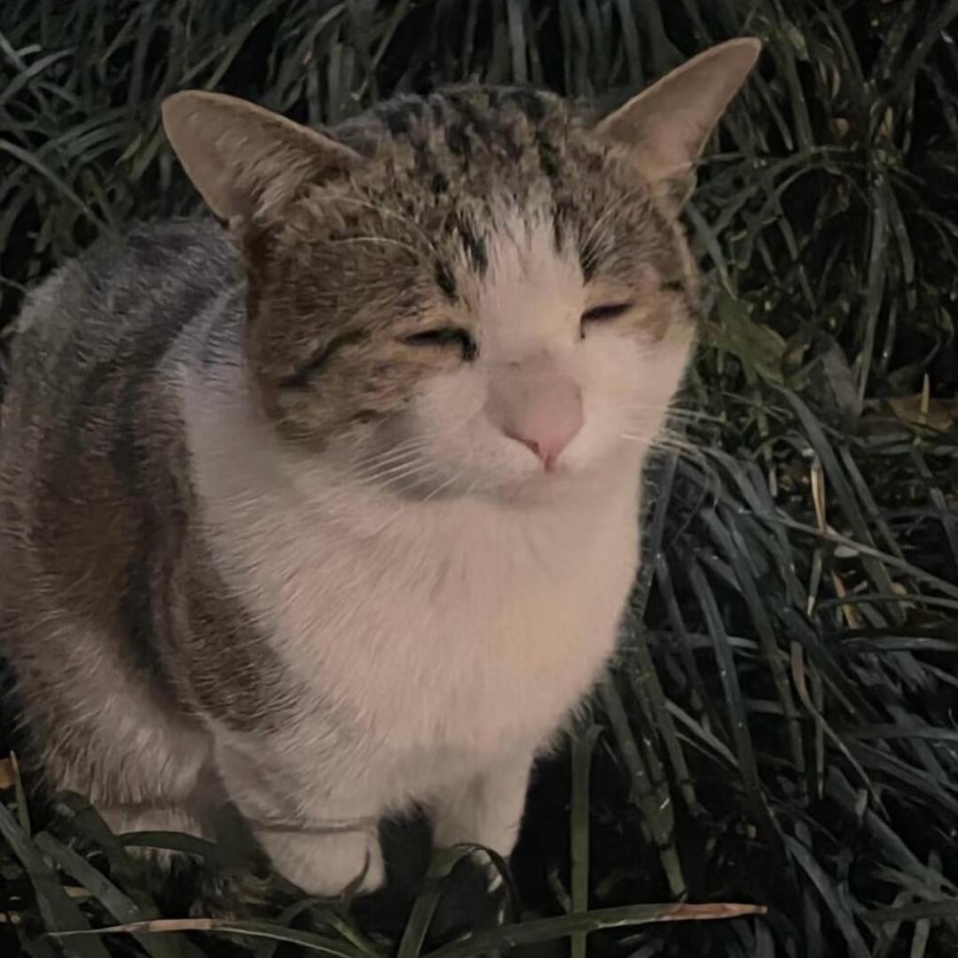 一口周