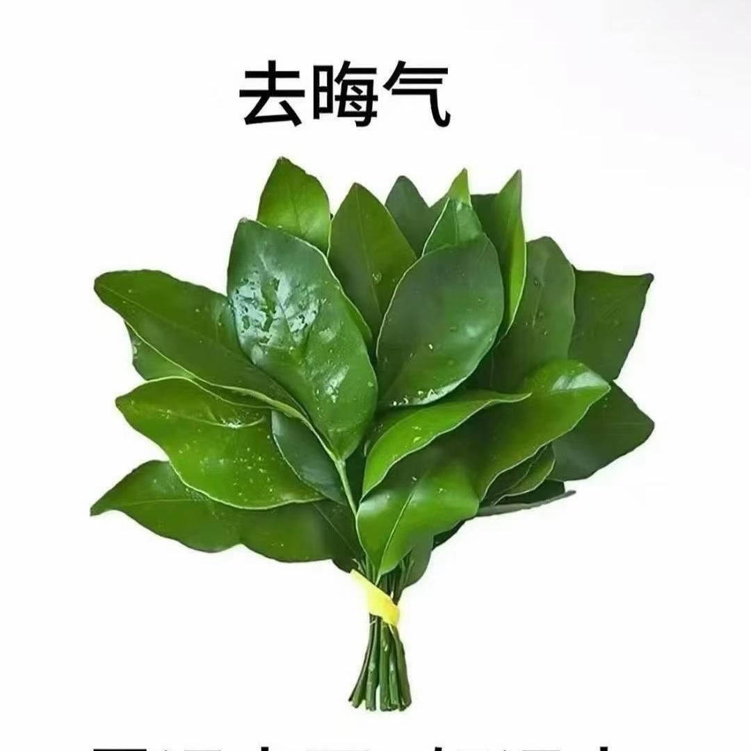 知足