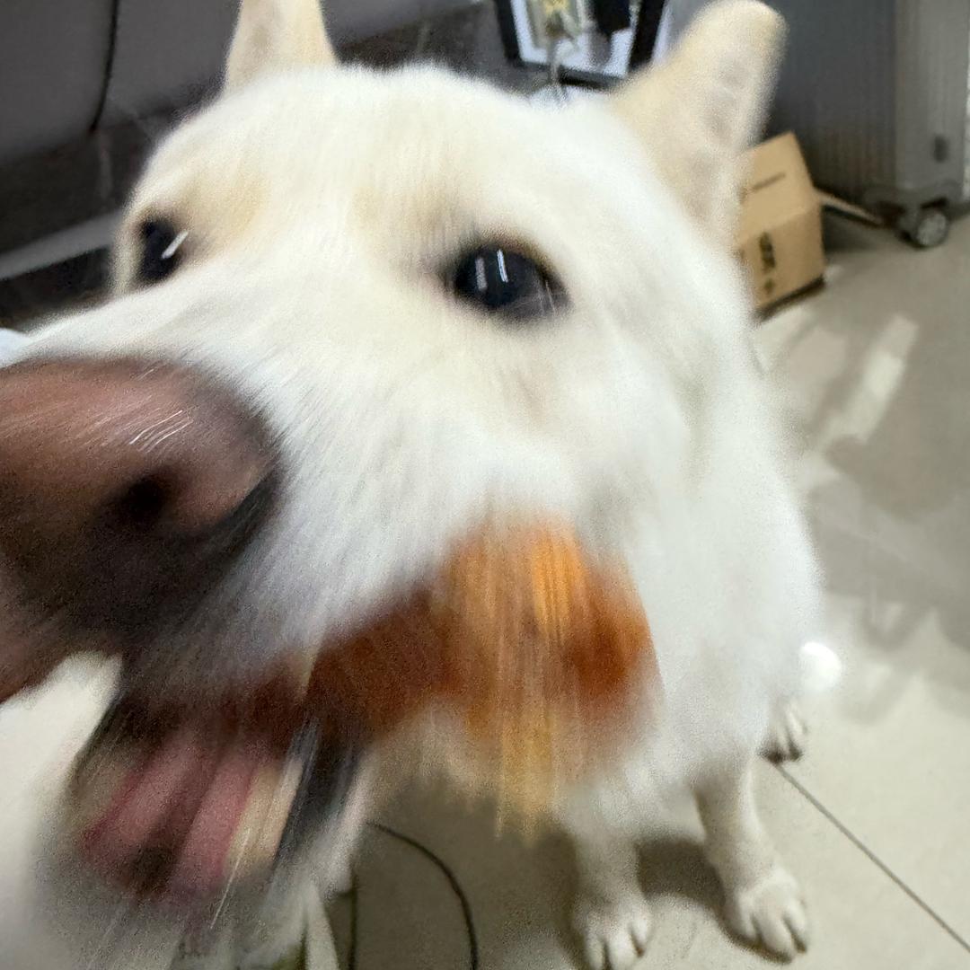 一杯冰可罗