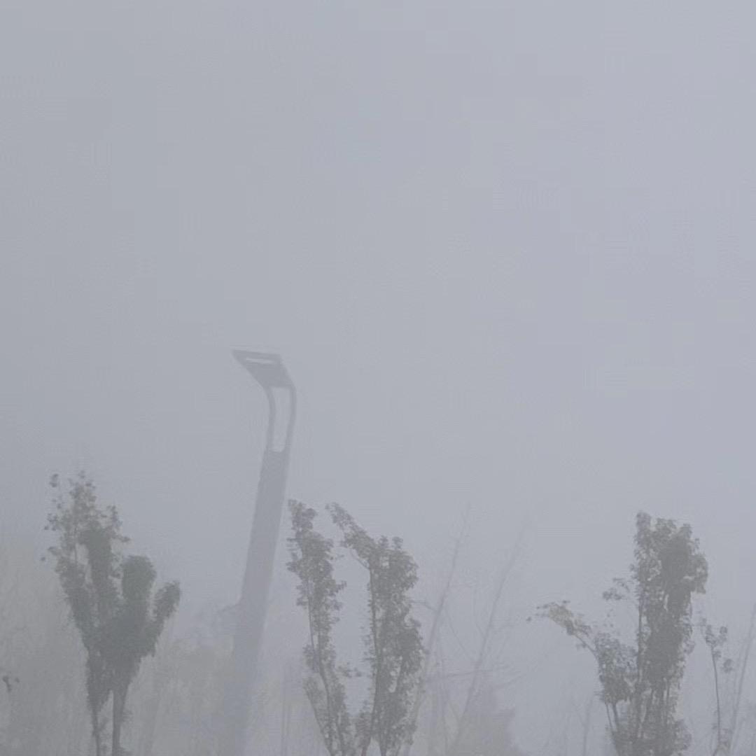 第三津巴布韦看你