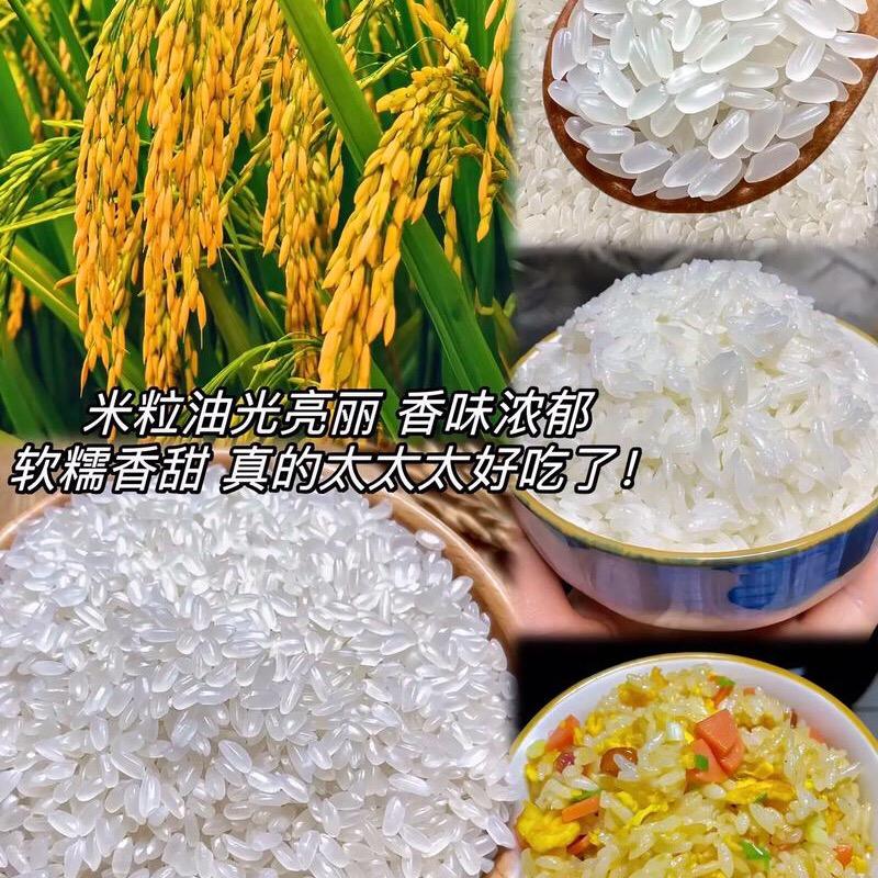 东北大米工厂1店