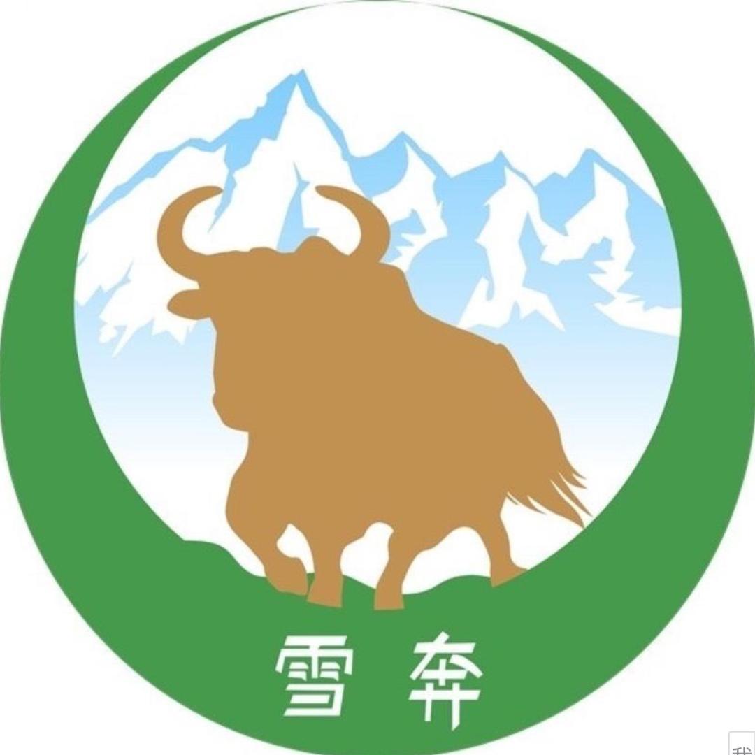雪奔牦牛
