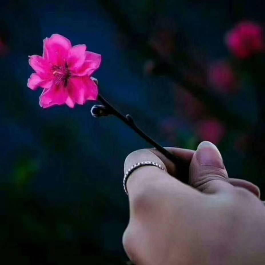 💞1376