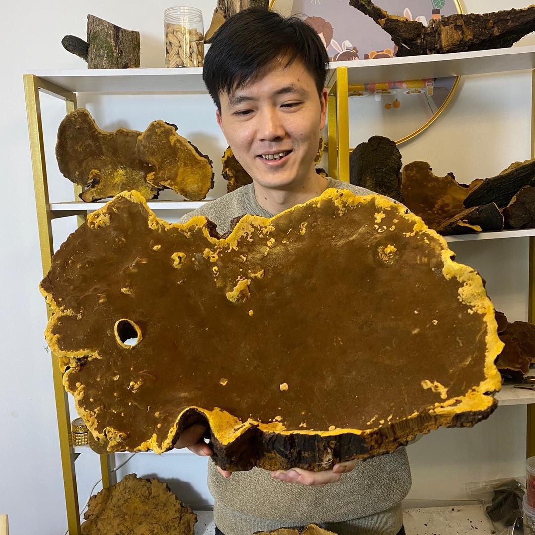 灵芝百草滋补(小明在西藏)