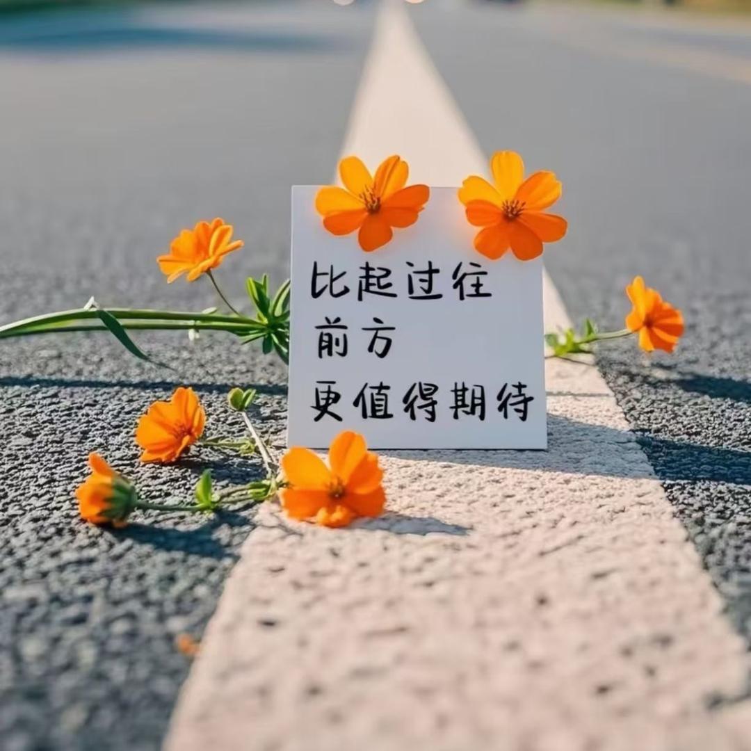 惊鸿一面