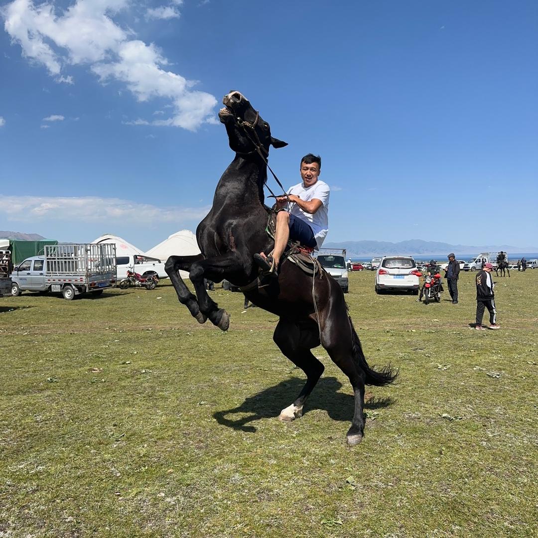 再无归期无归人