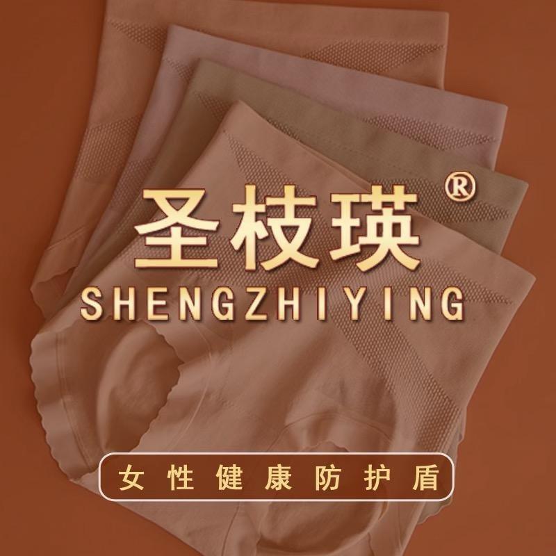 圣枝瑛内衣甄选号