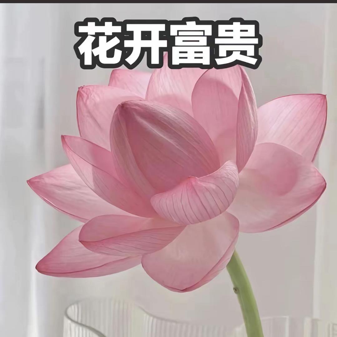 花开富贵！