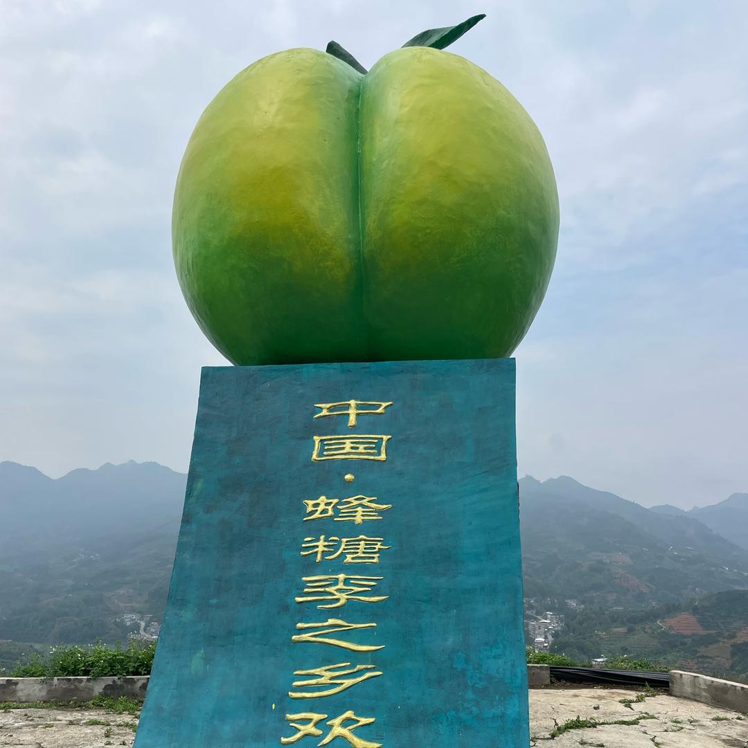 安顺六马优鲜果业有限公司