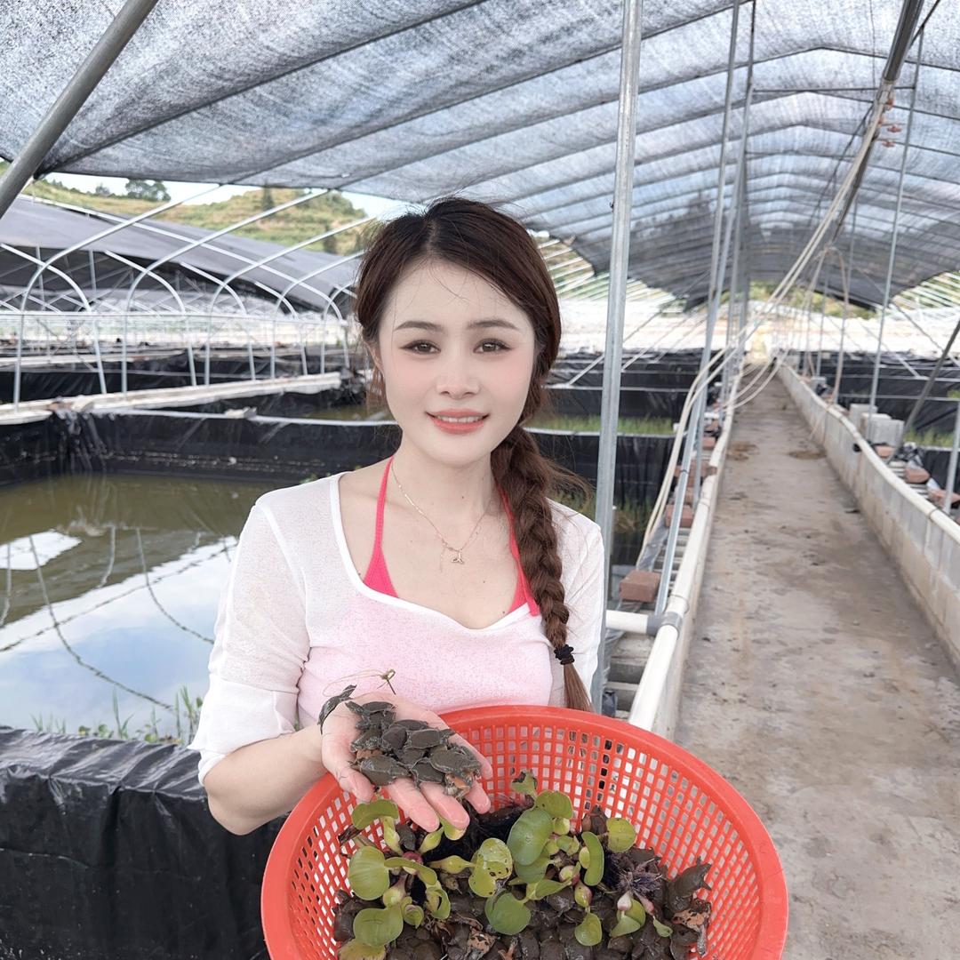 南丰小妹龟鳖水产养殖基地