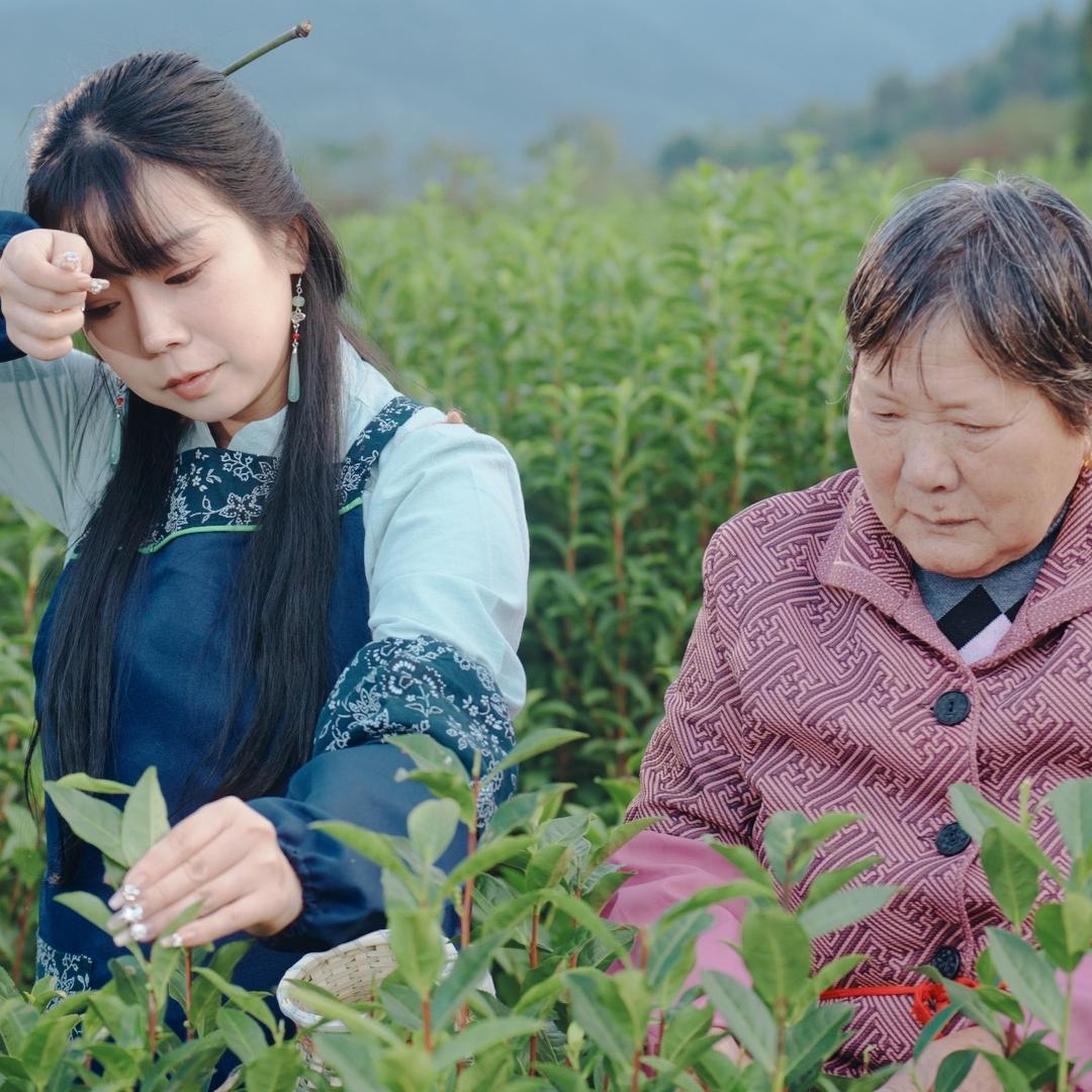 西岸竹海推荐官晓风