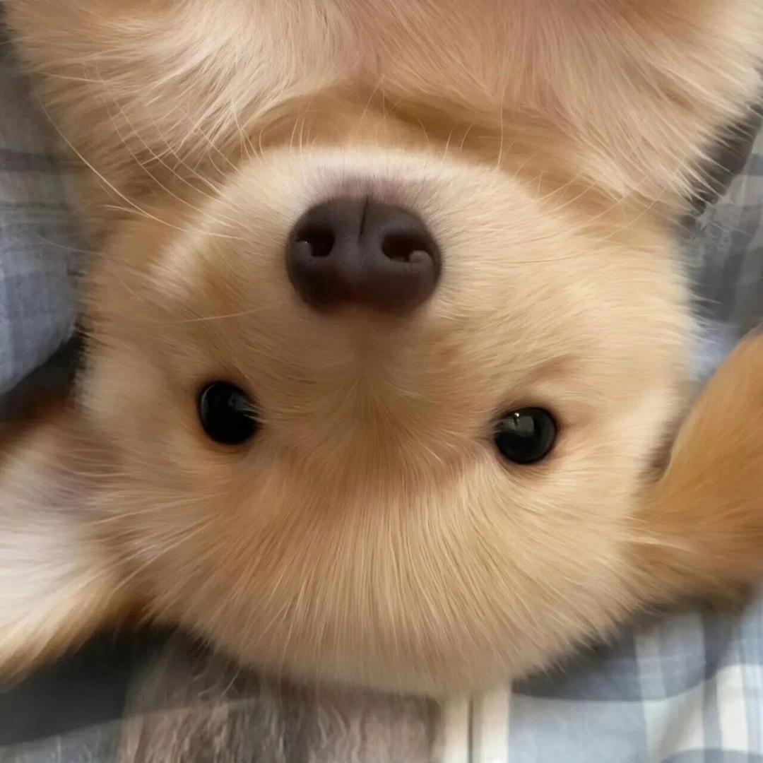 宇澄（超自然行动组）