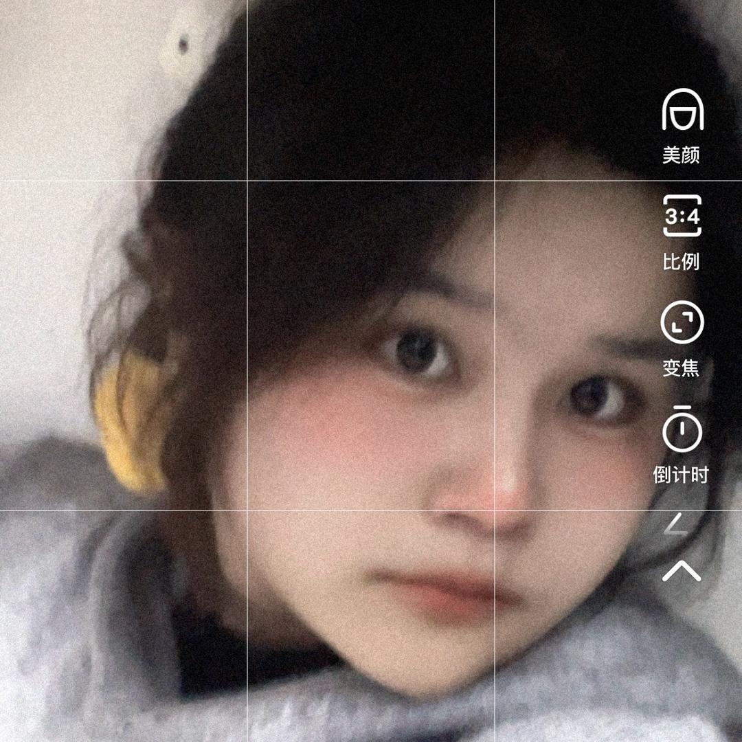 毛毛虫