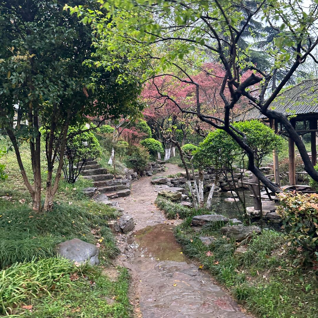 努力奋斗的羽生