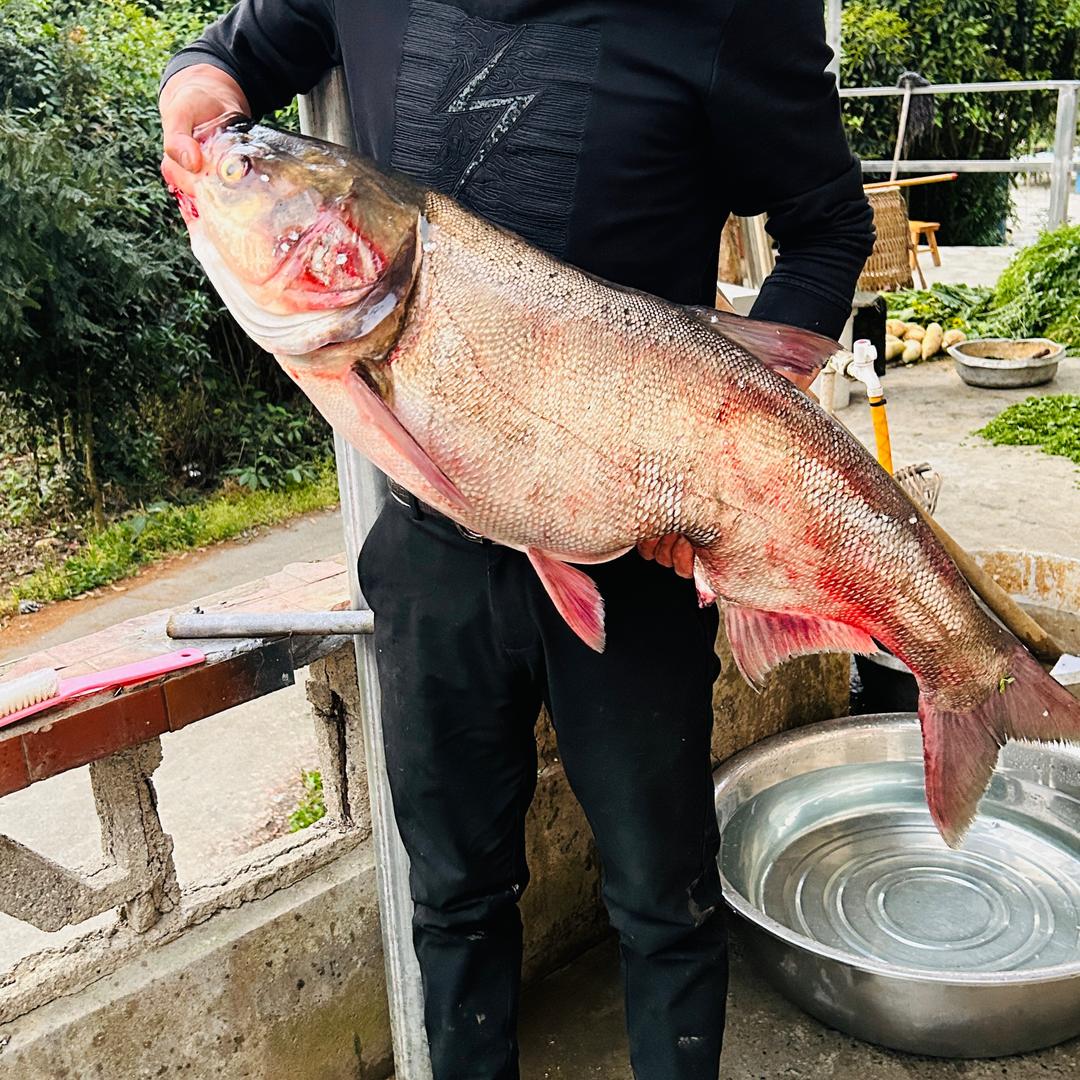 野钓🎣小杨