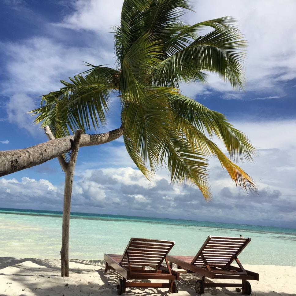 夏天💓肉肉☀️