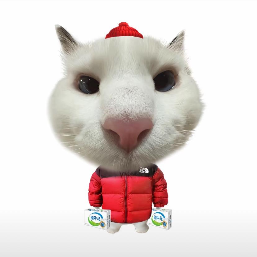 被绿后哭着求和好被闺蜜骂了三天三夜