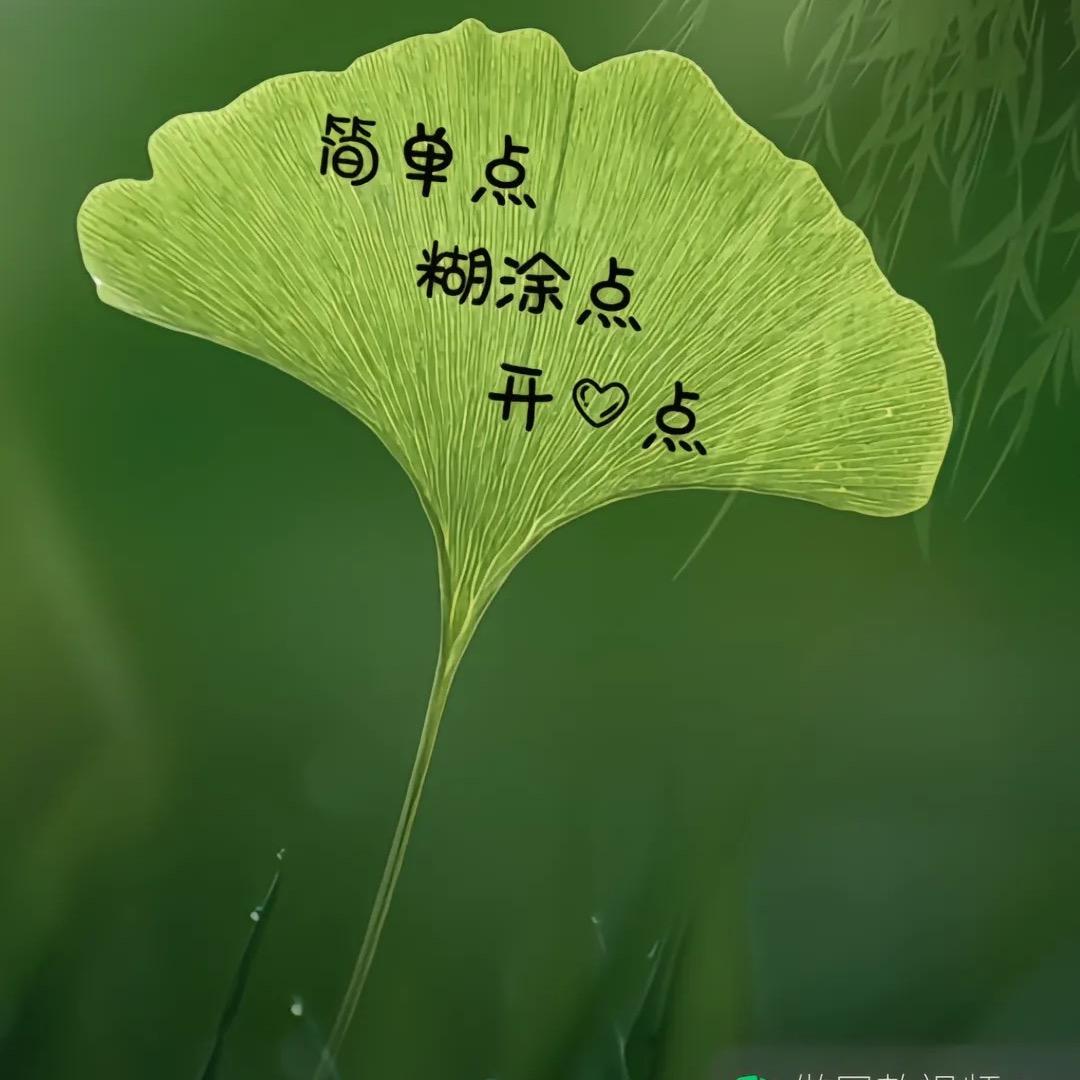 舒心（好物推荐）