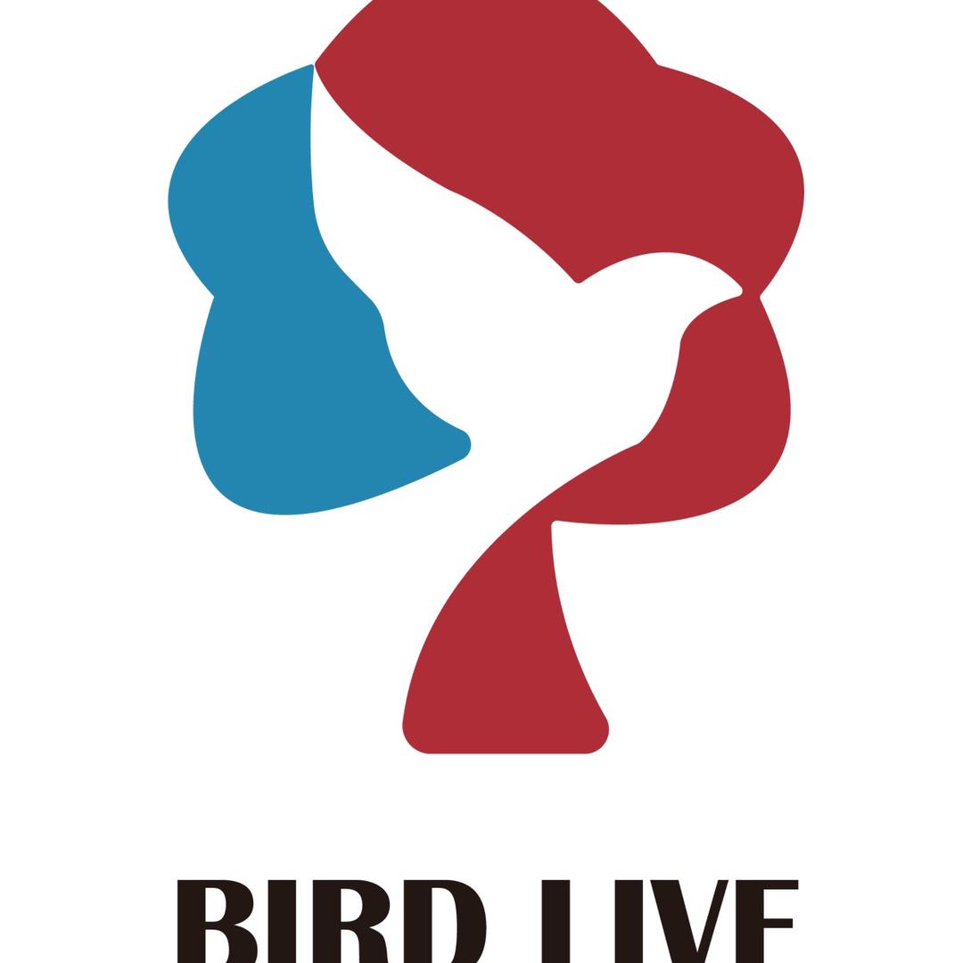 河南佰鸟文化传媒