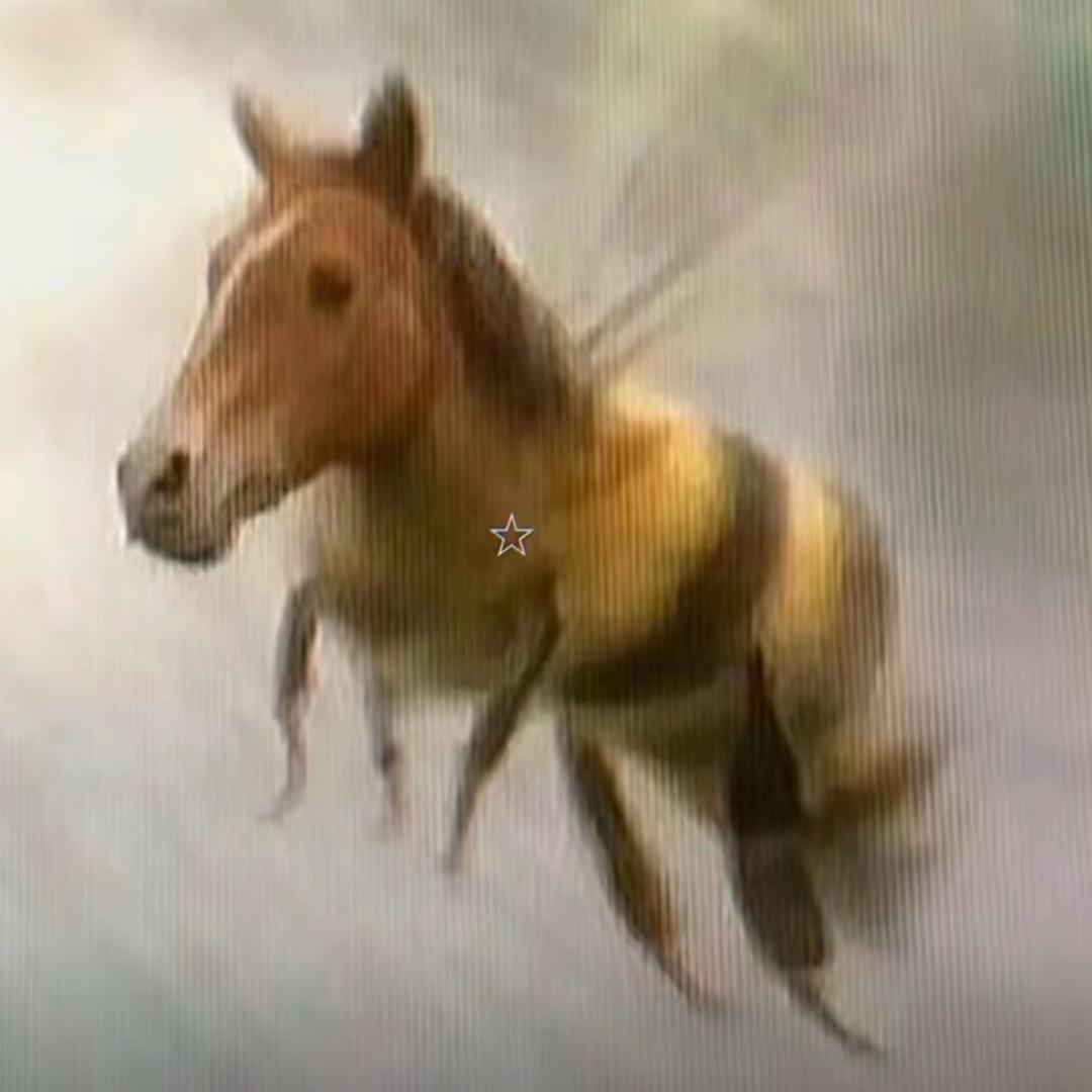 妮marbee头像