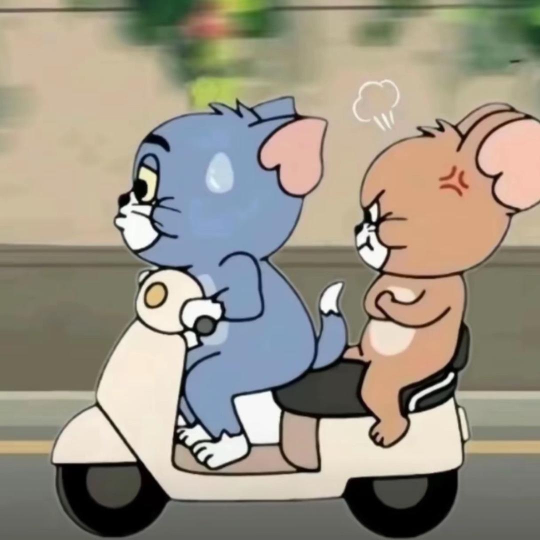 咖啡猫『昆明租房』🐱（招人）