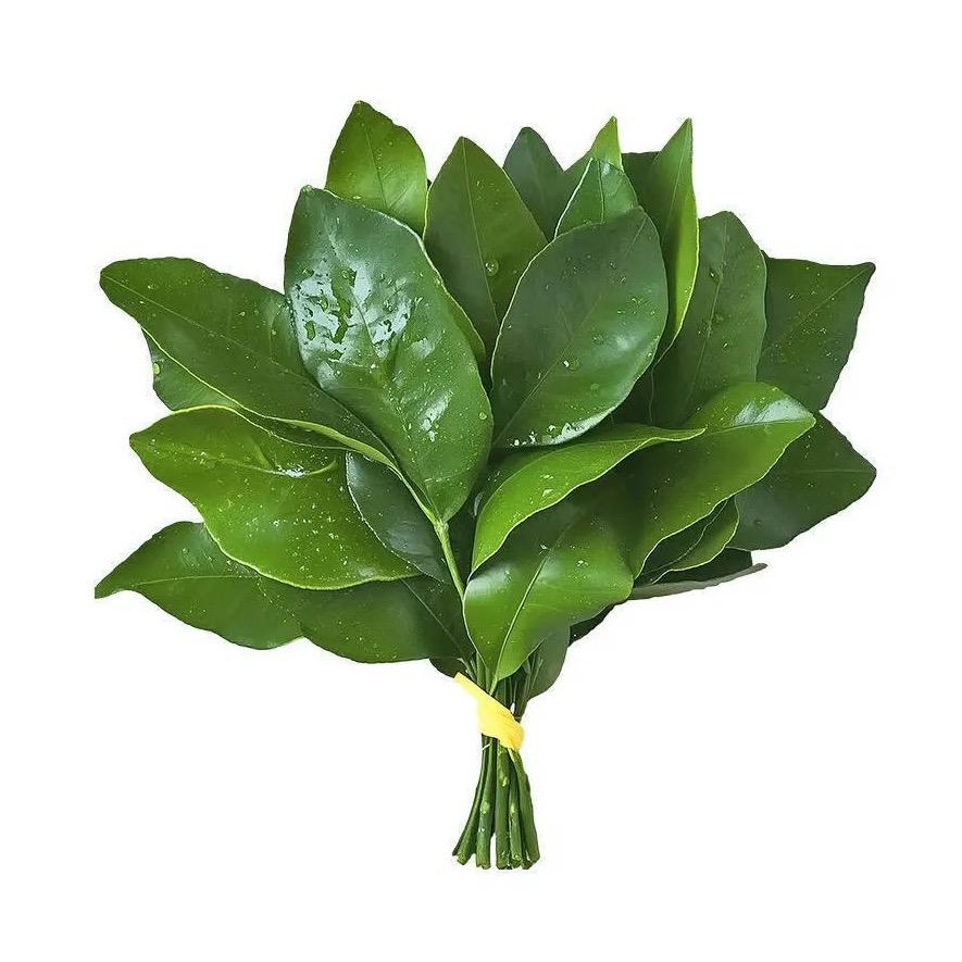 zou 我要变瘦🤵‍♀️～