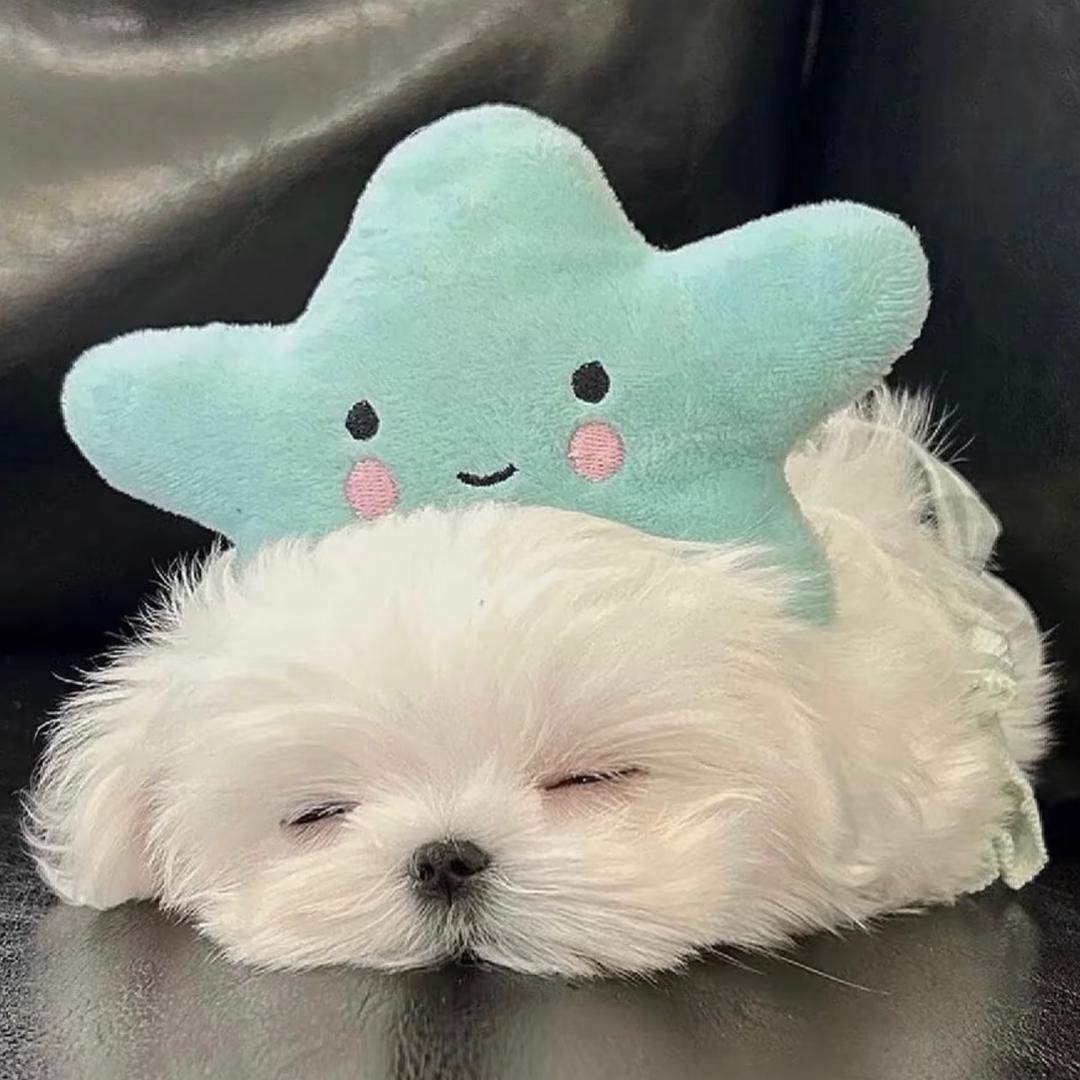 零_
