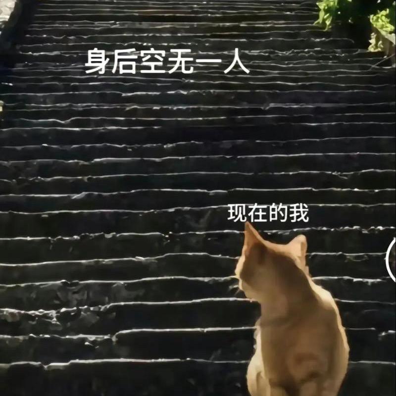 双边大队【牙牙】