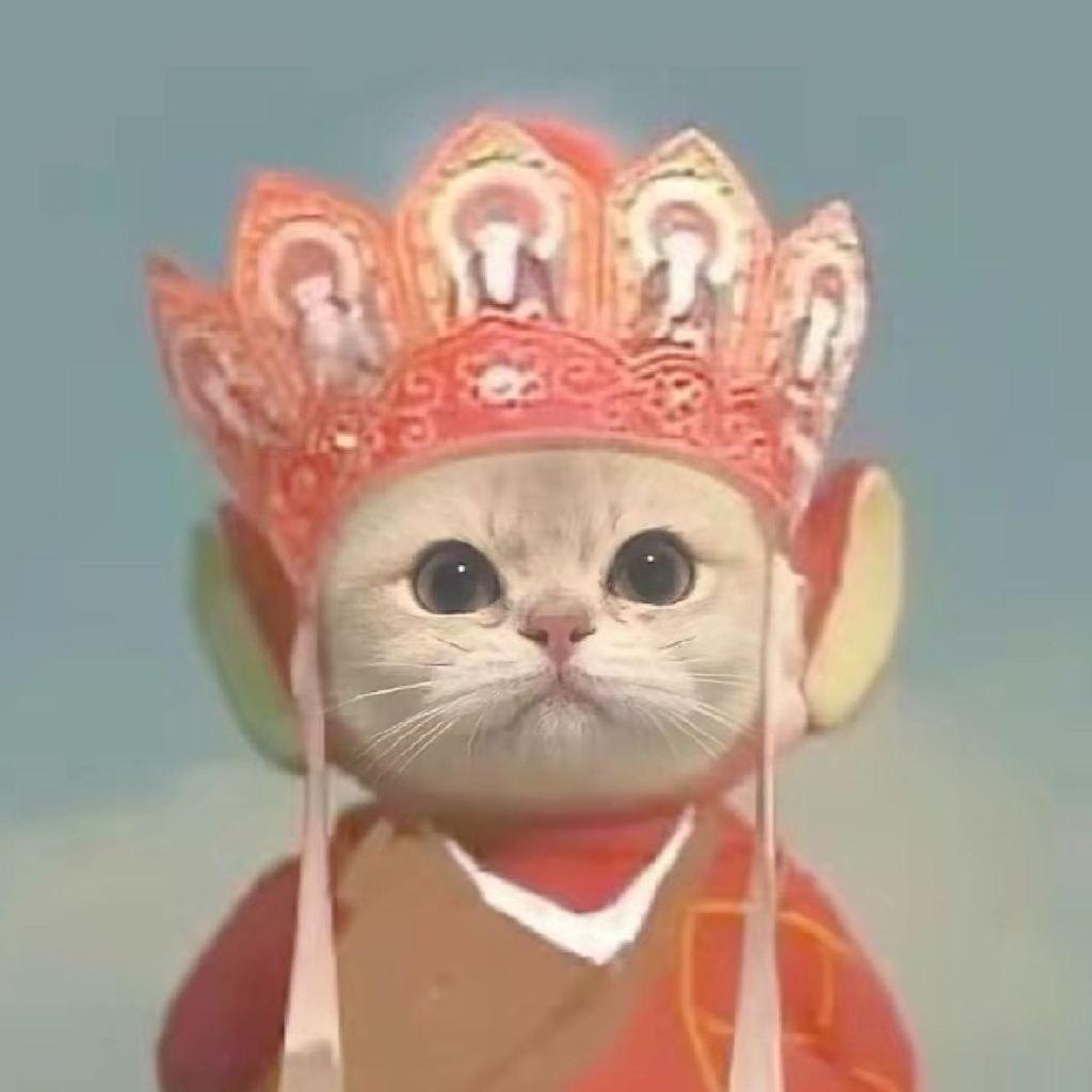 豆腐炖鱼丶