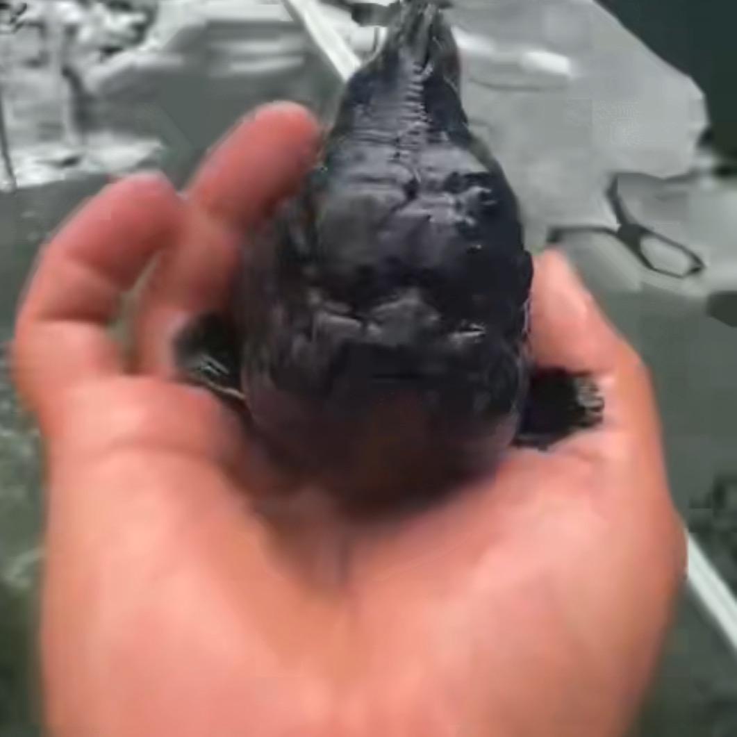 佛山市渔友圈养殖中心