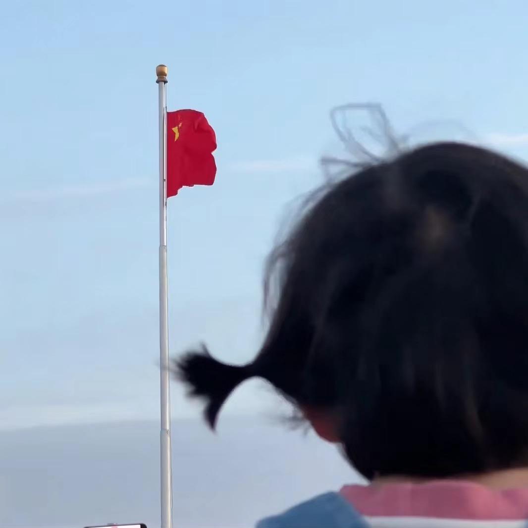 biubiu大胖猫头像