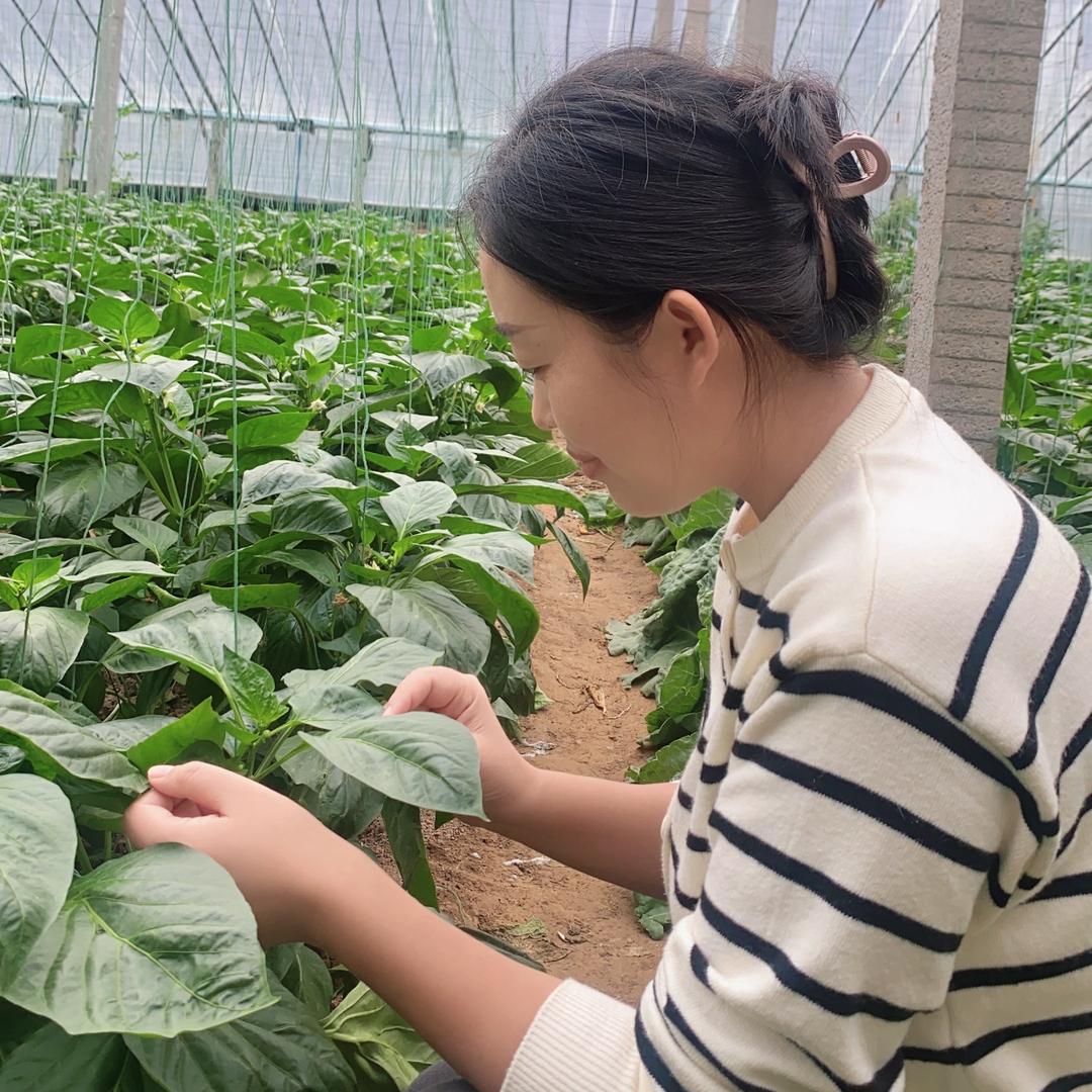 寿光辣妹子🌶️