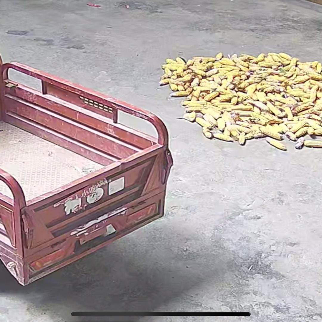 为自己而努力