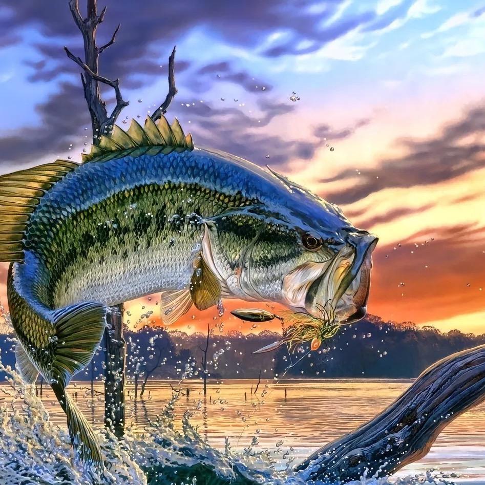 小胖🎣
