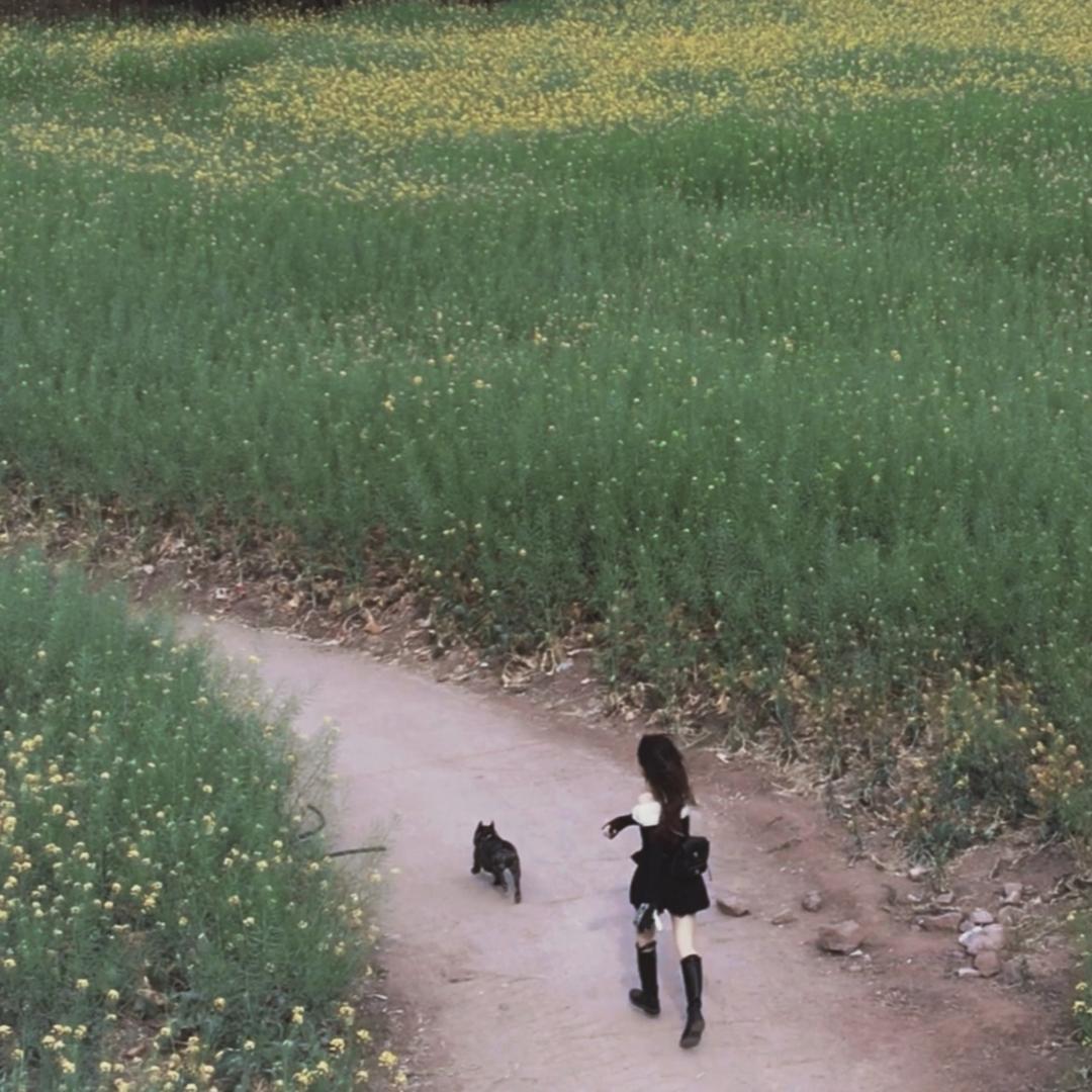 曾多次婉拒彭于晏