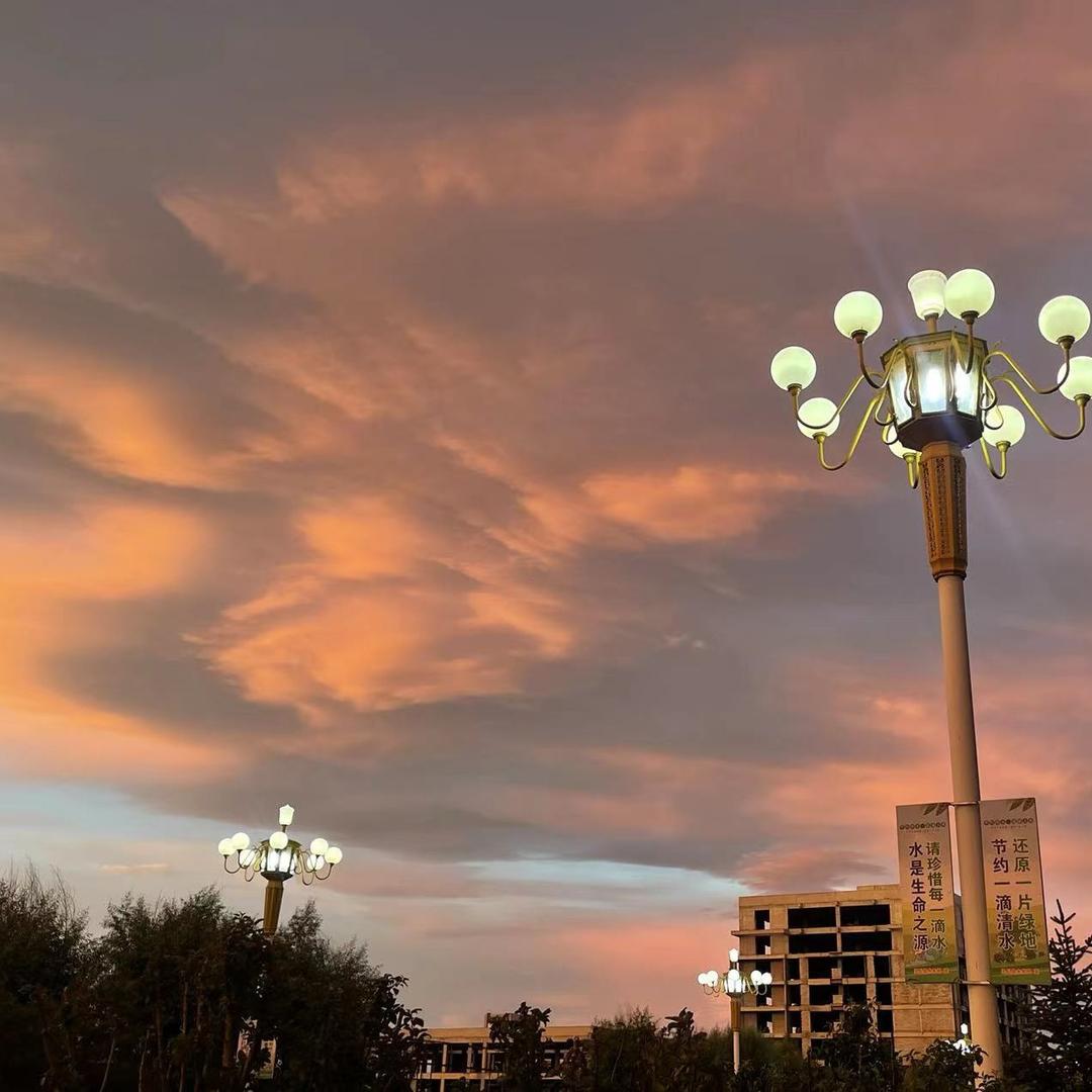 🌱嘵䴻䘔䩁㵾䬕㱊🐮