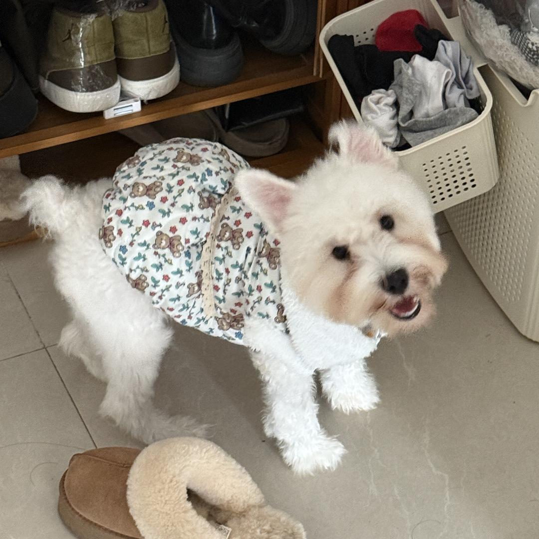 耶耶diy 发圈对对碰