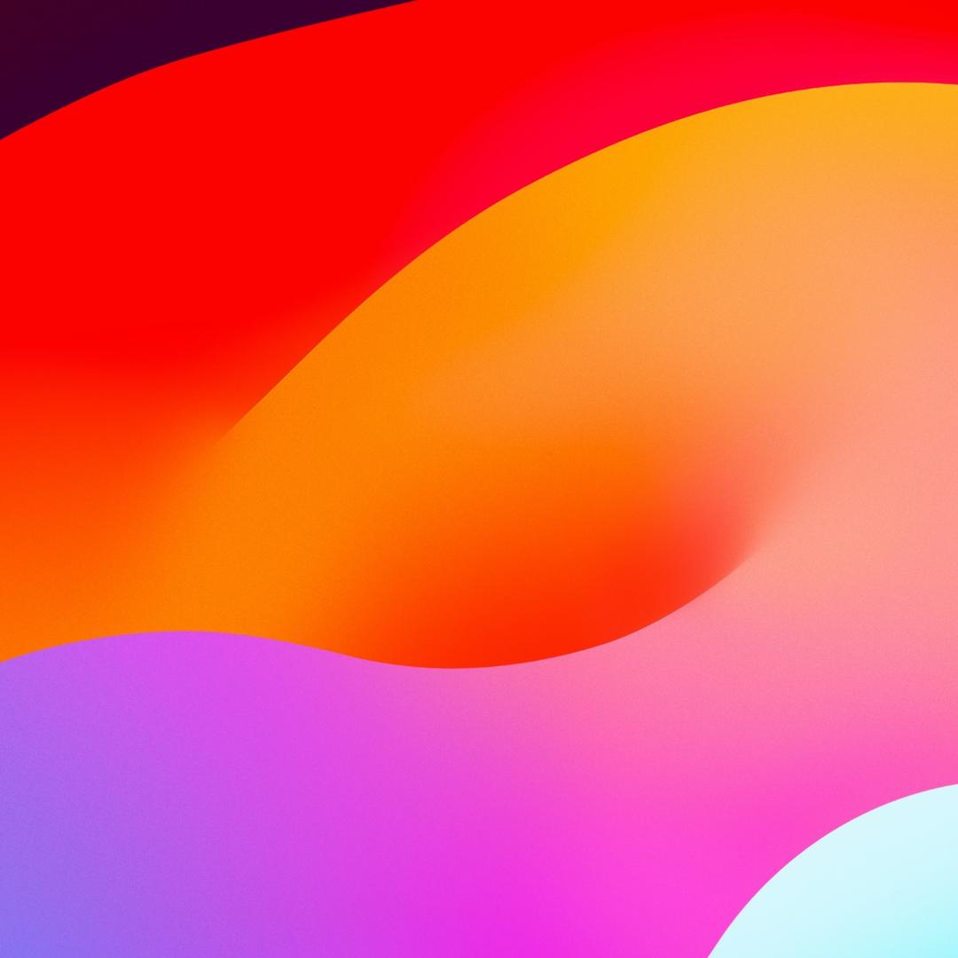 1255854554
