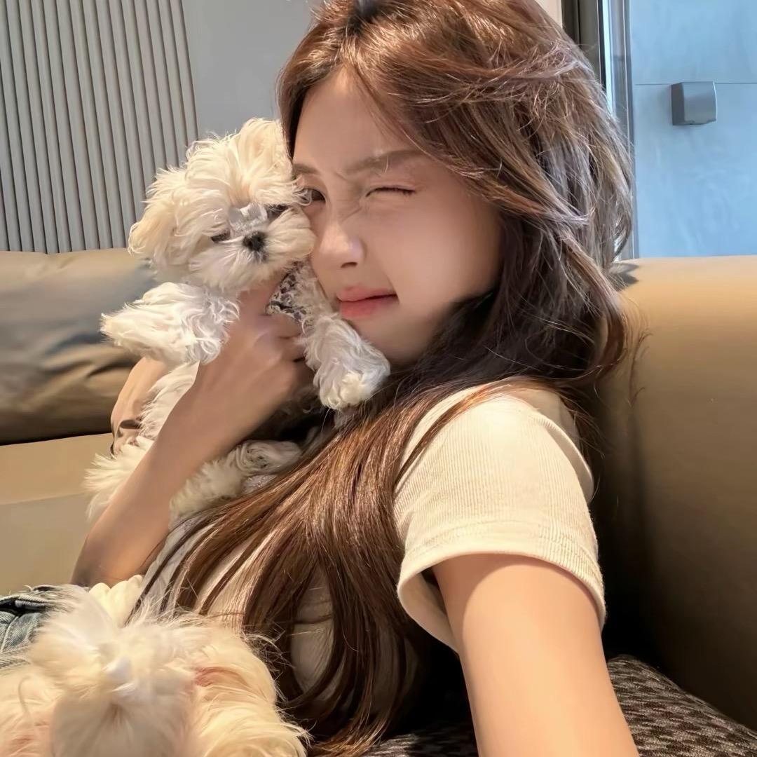 ¹口¹个布丁₊˚