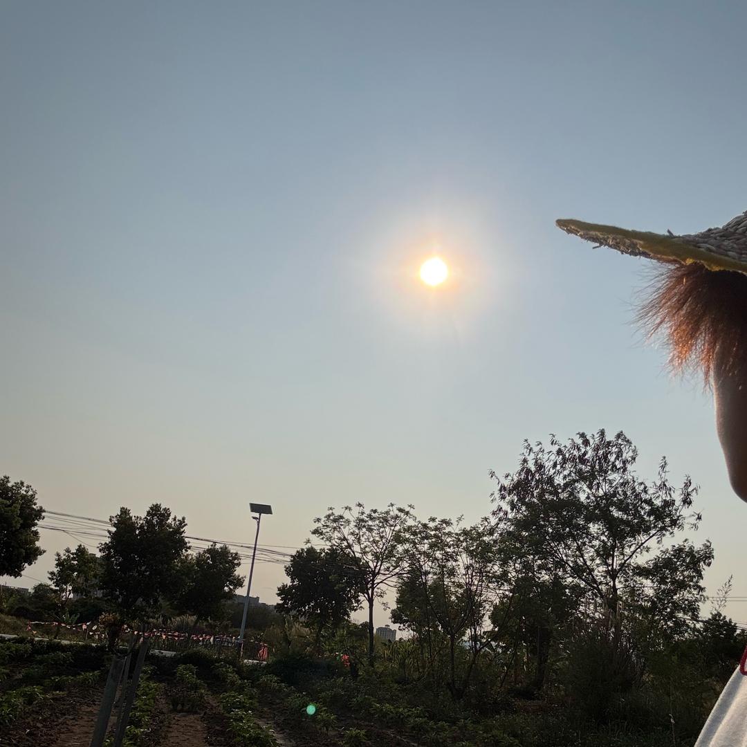 细弟新鲜农产品（哥弟农庄 ）