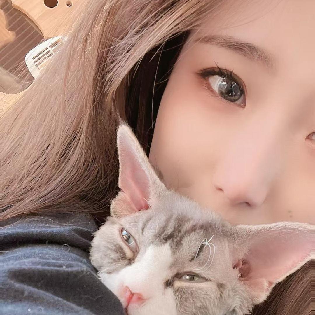 小雪家德文卷毛猫