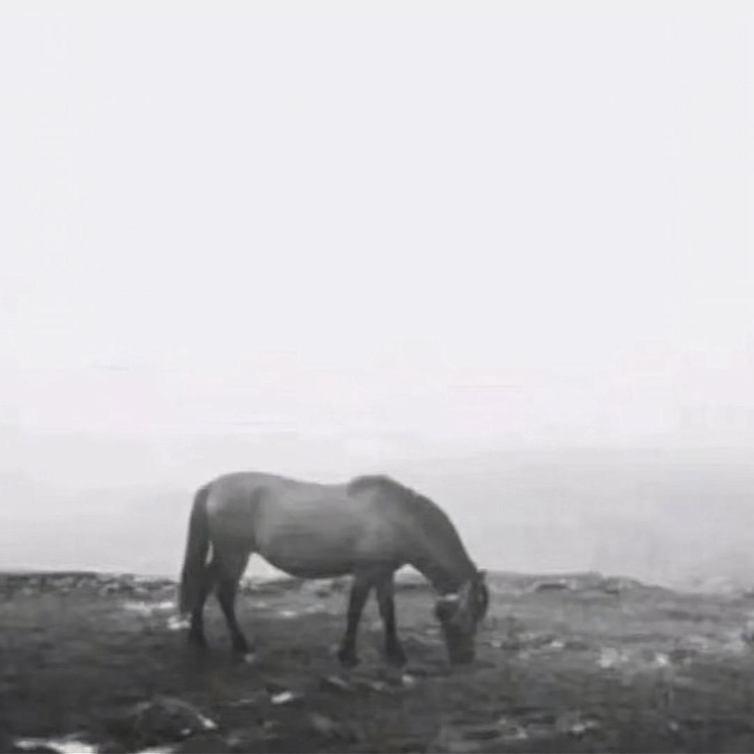 挽歌.
