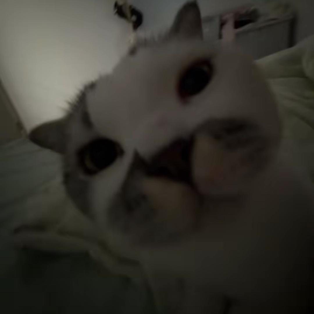 Xia～