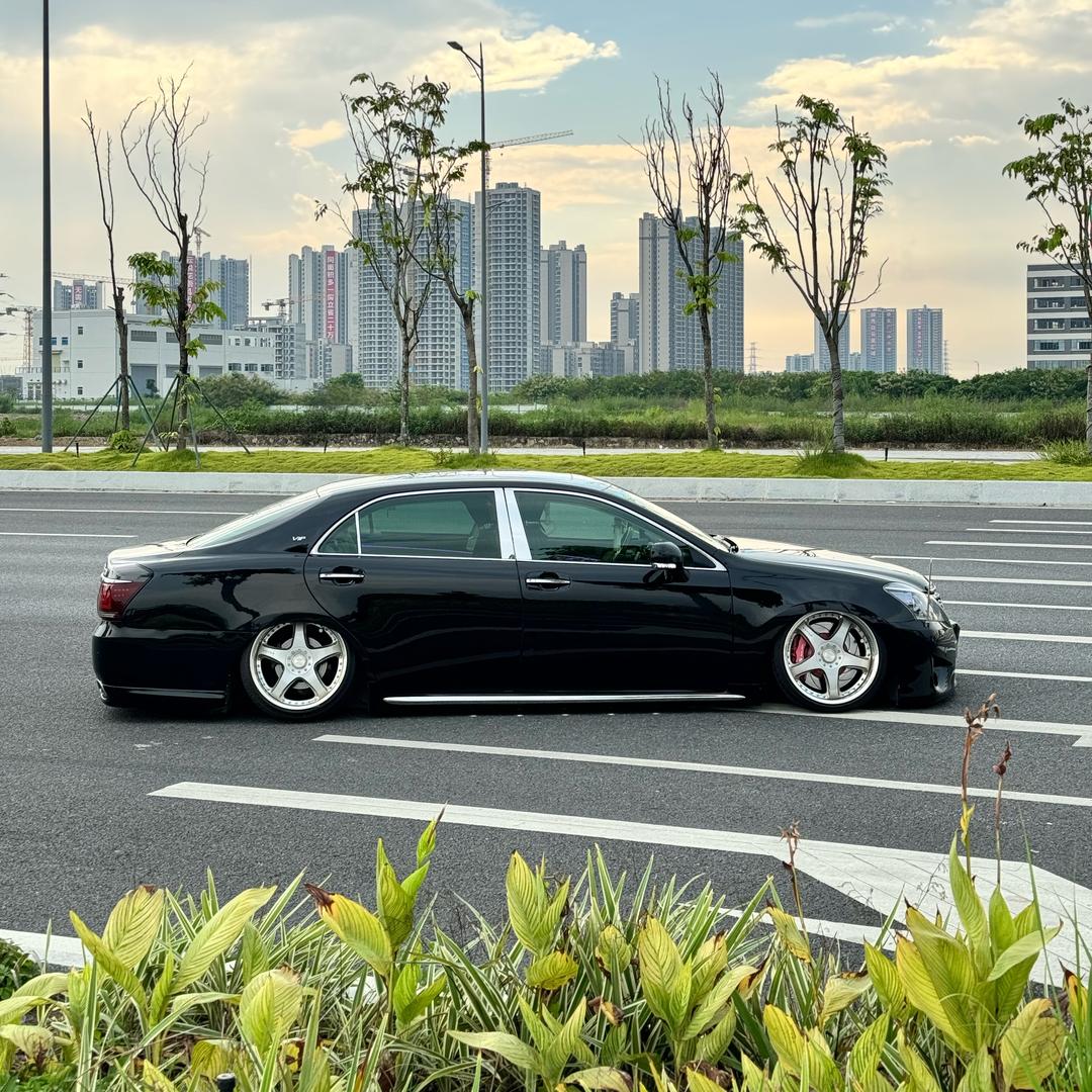 谢公子-👑