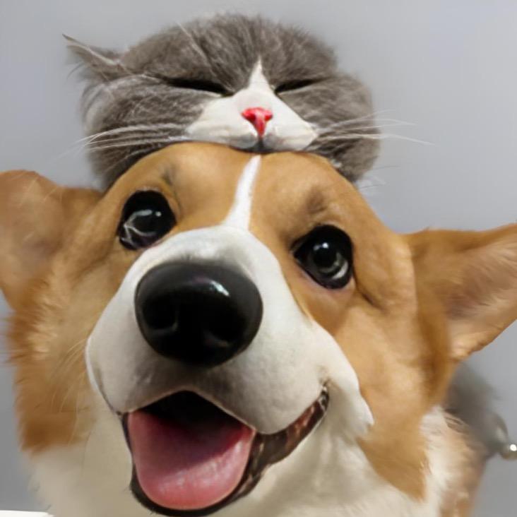 喵哆哆生活小屋